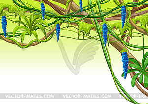 Twisted wild lianas branches background. Jungle - vector image