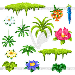 Набор тропических цветов. Экзотические тропические растения - векторный графический клипарт