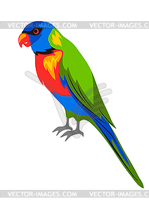 Rainbow lorikeet. Tropical exotic bird - vector clipart
