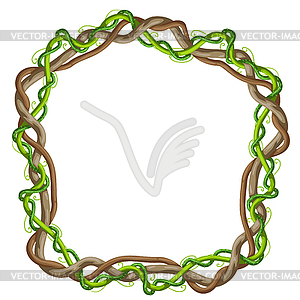 Twisted wild lianas branches frame. Jungle vines - vector clipart