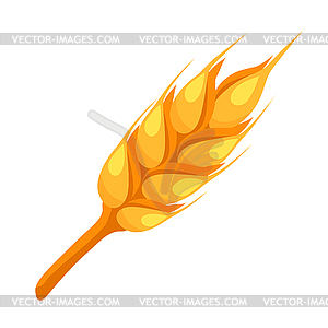 Wheat spike icon - vector clip art