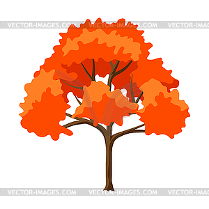 Autumn stylized tree - color vector clipart