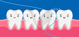 Smiling are flossing in oral cavity - vector clip art