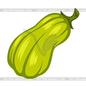 Cartoon ripe pumpkin - vector image