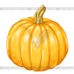 Illustrastion of autumn ripe pumpkin - vector clip art