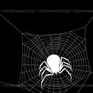 Background with black widow spider - vector image