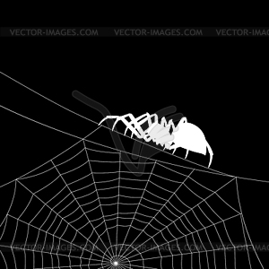 Background with black widow spider - vector EPS clipart