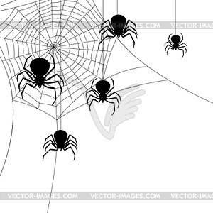 Background with black widow spiders - vector image