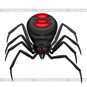 Black widow spider icon - vector image