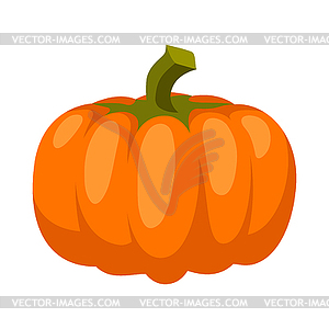 Cartoon ripe pumpkin - vector image