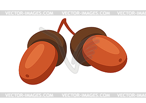 Cartoon ripe acorns - vector clipart