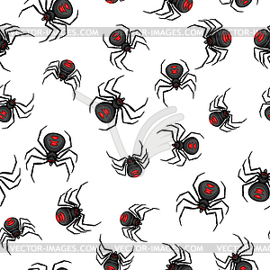 Seamless pattern with black widow spiders - color vector clipart