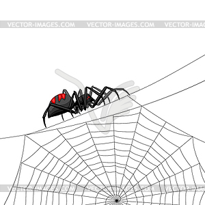 Background with black widow spider - color vector clipart