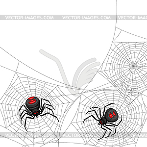 Background with black widow spiders - vector clip art