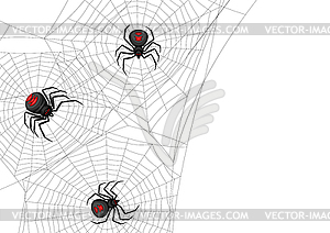 Background with black widow spiders - vector image