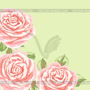 Background or card with pink roses - vector clipart