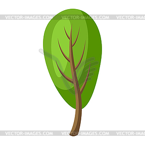 Spring or summer stylized tree with green leaves - vector clip art