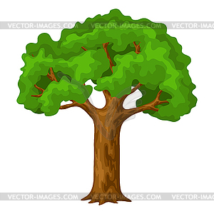 Spring or summer stylized tree with green leaves - vector clipart