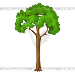 Spring or summer stylized tree with green leaves - vector image