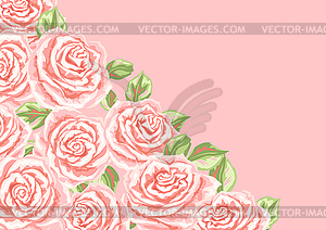 Background or card with pink roses - vector clipart