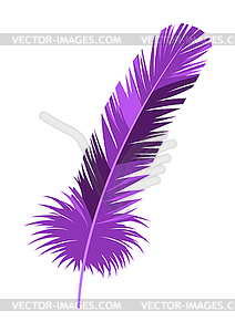 Mardi Gras carnival violet feather - vector clipart