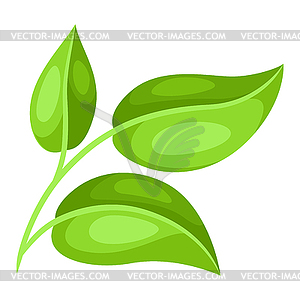 Sprig with green leaves - vector image