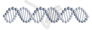 DNA molecules structure - vector clipart