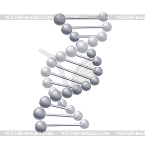 DNA molecules structure - vector image