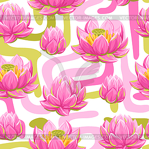 pink water lily clip art