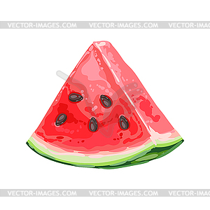 Ripe watermelon slice - vector image