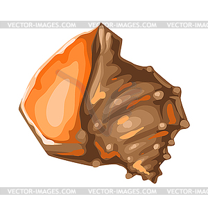 Seashell. Tropical underwater mollusk shell - vector EPS clipart