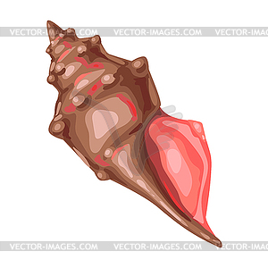 Seashell. Tropical underwater mollusk shell - stock vector clipart