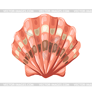 Seashell. Tropical underwater mollusk shell - vector clipart