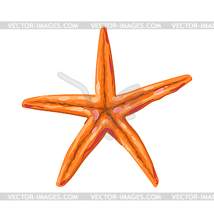 Starfish. Tropical underwater sea animal - vector clip art