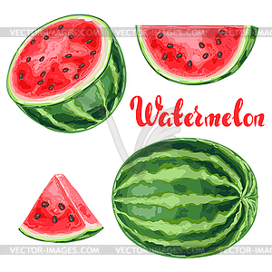 Set of watermelons and slices - vector clip art