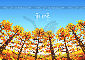 Autumn forest background with stylized trees - vector image