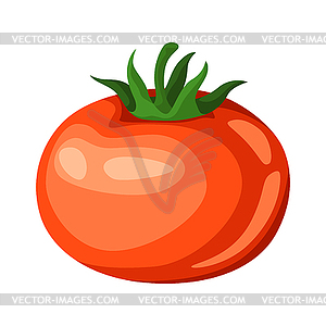 Red ripe tomato - vector clip art