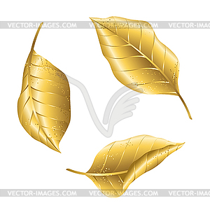 Set of gold autumn foliage - royalty-free vector image