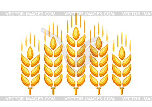 Ripe wheat ear - vector image