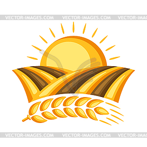 Field with ripe wheat ear - vector image