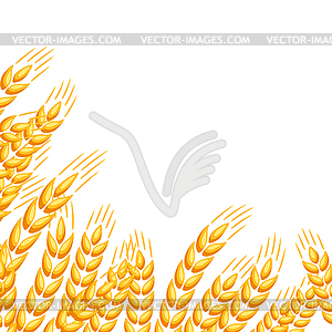 Background with wheat - vector clipart