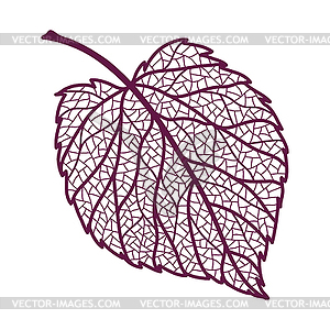 Autumn linden leaf - vector clip art