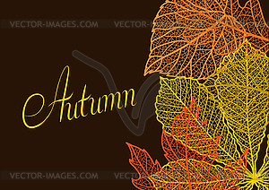 Card with autumn foliage - vector image