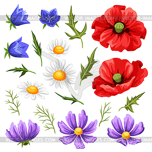 Set of summer flowers - vector image