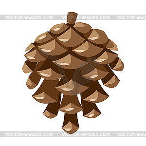 pine cone vector