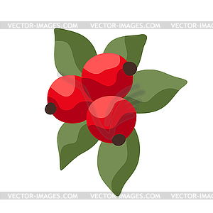 Cartoon ripe cranberries - vector clipart / vector image