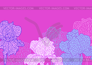 Seamless pattern with violet irises - vector image