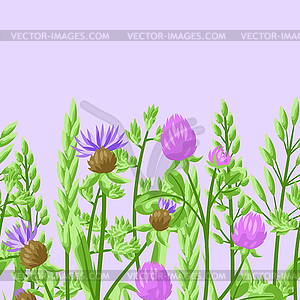 Seamless pattern with herbs and cereal grass - vector EPS clipart