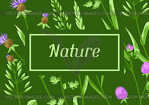 Background with herbs and cereal grass - vector clip art