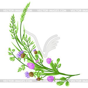 Decorative element with herbs and cereal grass - vector image